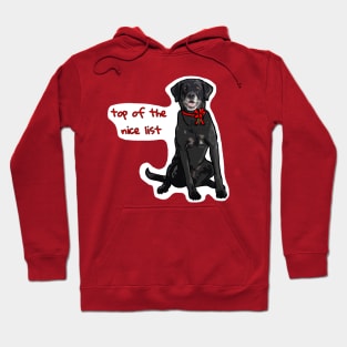 Labrador Christmas Hoodie